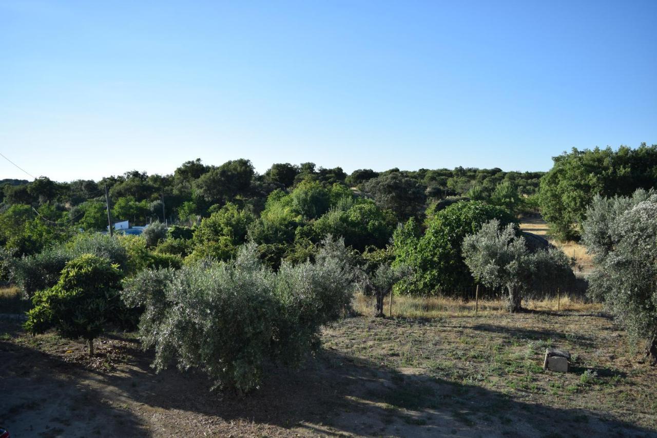 Memsoares Country House كاستيلو دي فيدي المظهر الخارجي الصورة